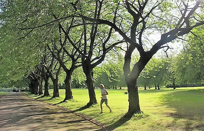 Apartamento *f1*5gh* Setup For Your Relaxed & Amazing + Free Parking + Free Fast Wifi * Leeds (West Yorkshire)